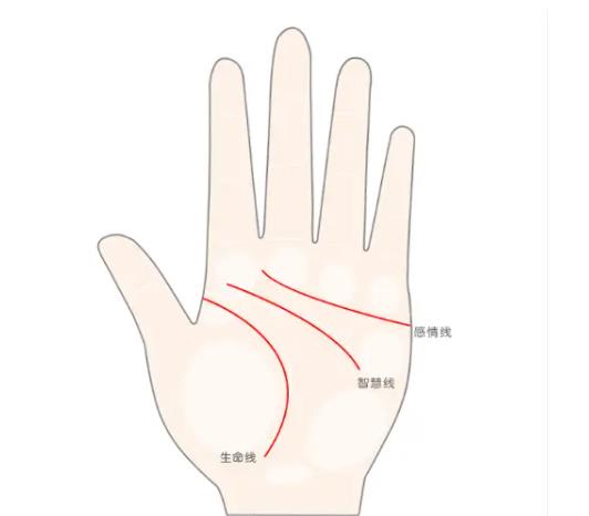 探讨女性川字纹的社会认知与不好的说法