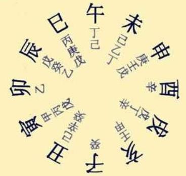 十二地支按季节分组列出藏干